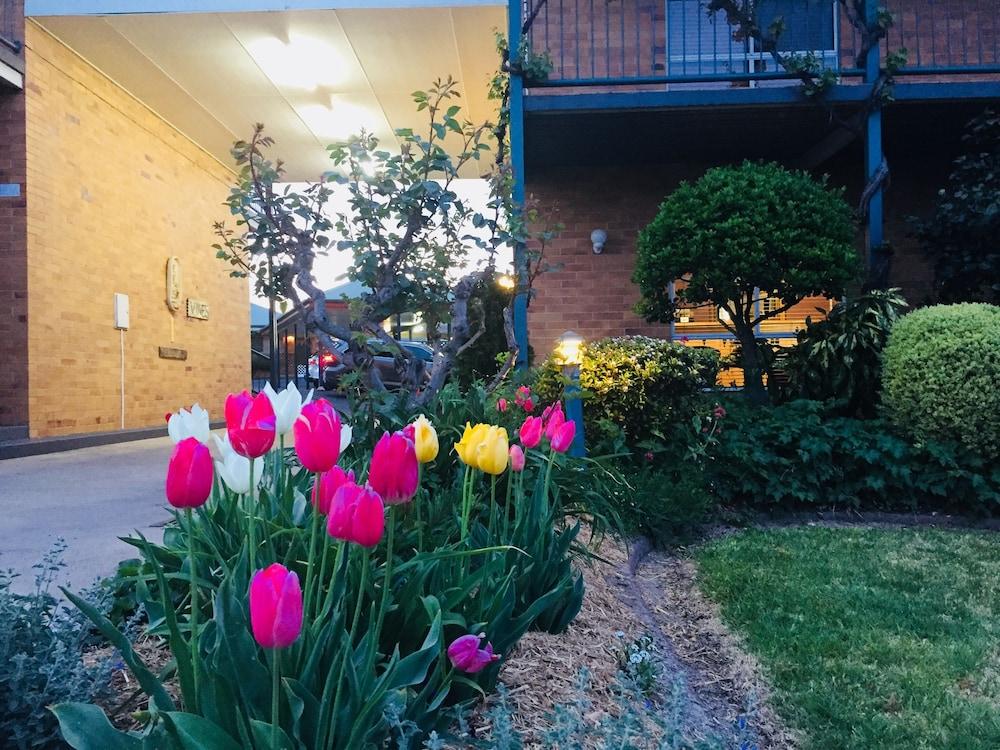The Vines Motel & Cottages Станторп Екстериор снимка