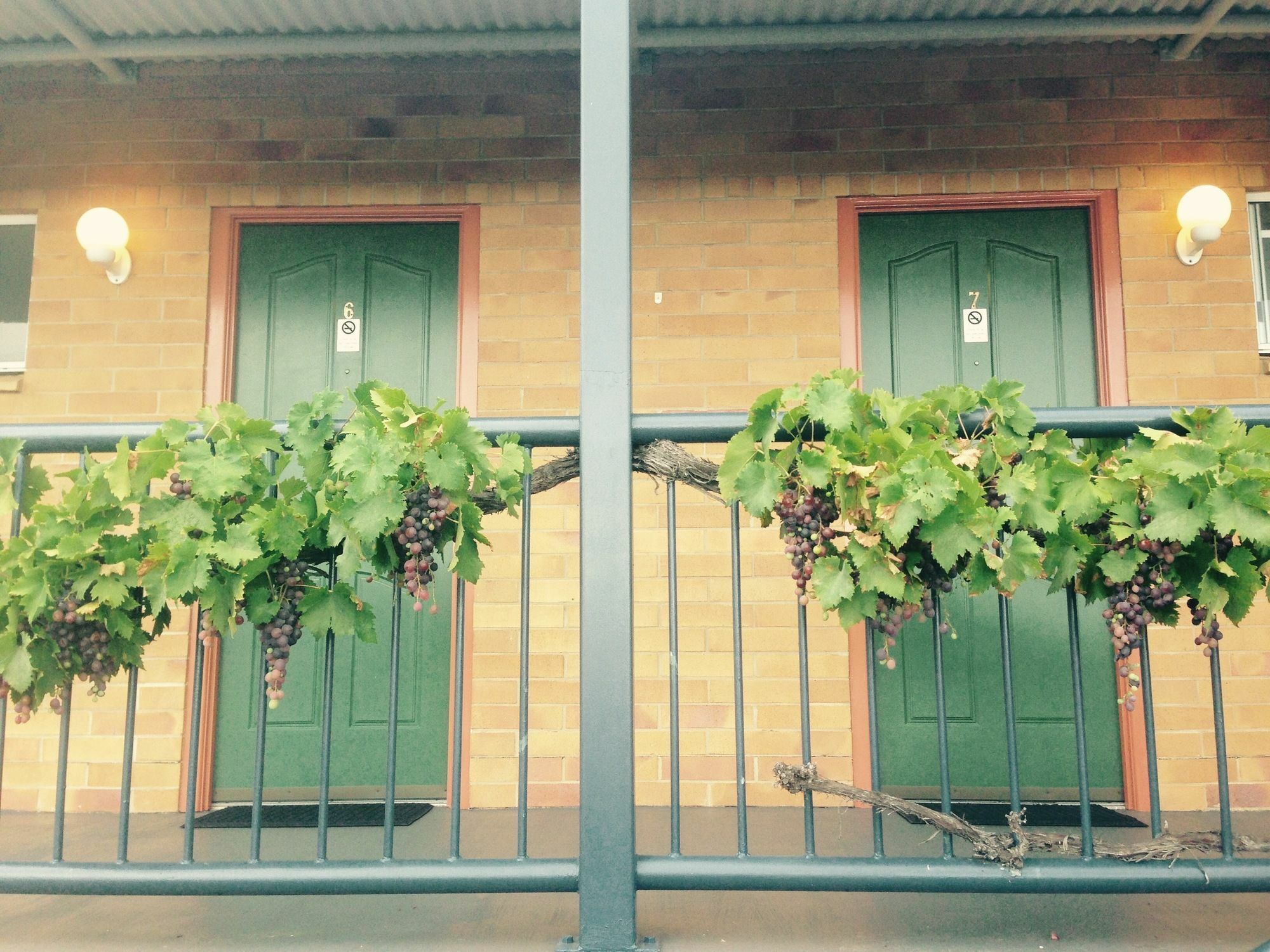 The Vines Motel & Cottages Станторп Екстериор снимка